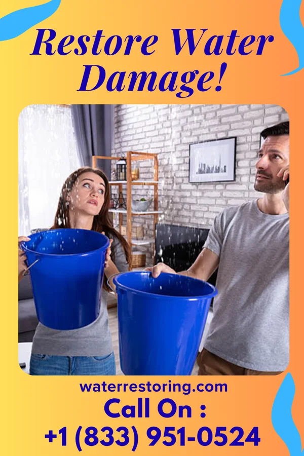 water restoration Express Water Mitigation Group Laurel Park