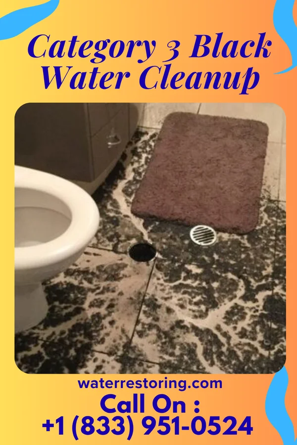 Category 3 Black Water Cleanup in Laurel Park, VA