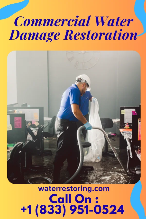 Commercial Water Damage Restoration in Laurel Park, VA