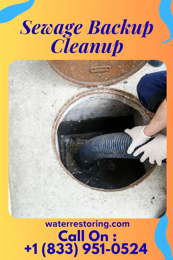 Sewage Backup Cleanup in Laurel Park, VA
