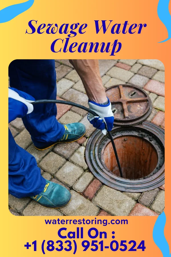 Sewage Water Cleanup in Laurel Park, VA