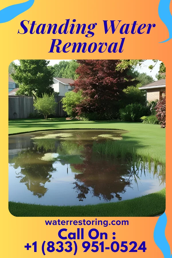 Standing Water Removal in Laurel Park, VA
